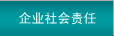 企業(yè)社會責(zé)任